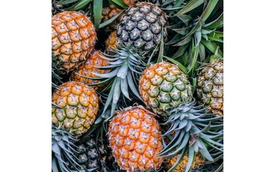 Ananas