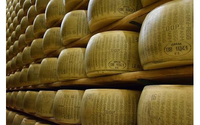 parmigiano